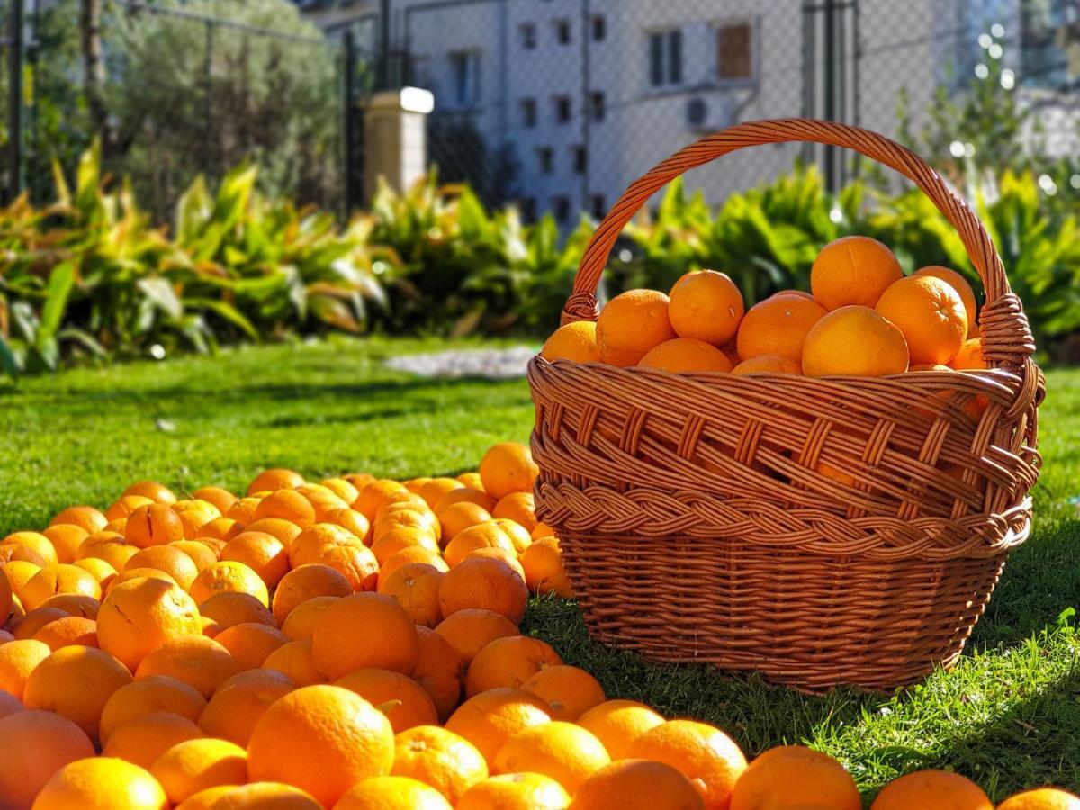 Ambience Dubrovnik Διαμέρισμα Εξωτερικό φωτογραφία